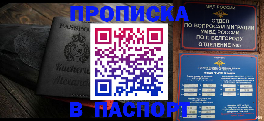 прописка 2025 в Гулькевичах